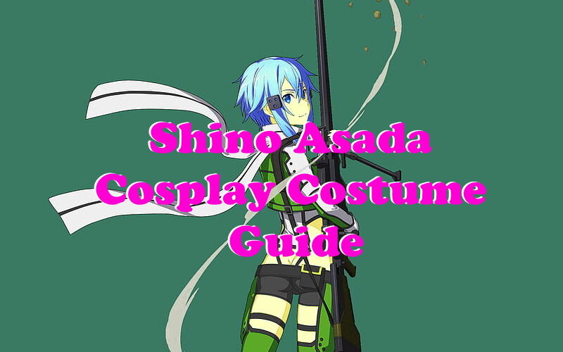 Shino Asada Cosplay Costume Guide - Sword Art Online World